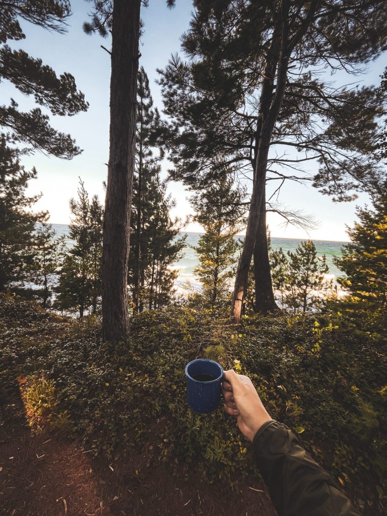 A beautiful wooded landscape with an arm stretched out holding a cup of hot coffee in a blue mug. 
